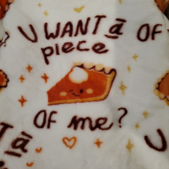 Fun and Rare Pumpkin Pie Blanket-NWT - Picture 5 of 5